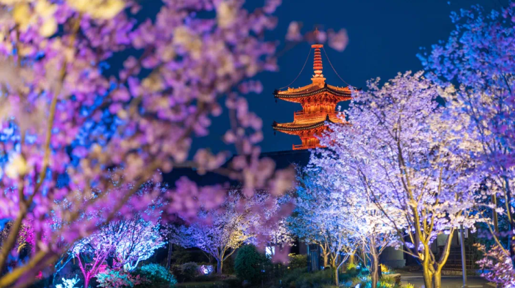 6D5N · Group Tours · Shanghai + Hangzhou + Wuxi +suzhou+ Wuzhen Welcome to contact customer service International visitor small group