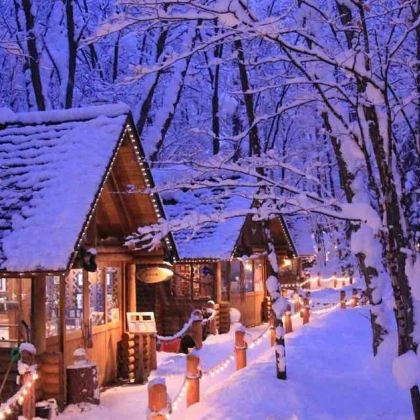 日本北海道5日4晚私家团