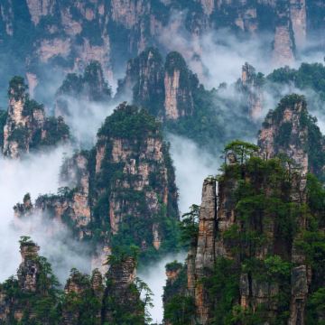 张家界+武陵源+大峡谷+天门山4日3晚私家团