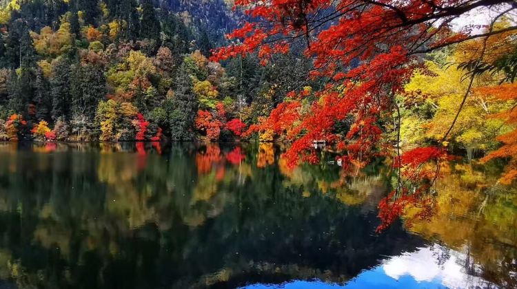 12-day 11-night · Group Tours · Zhangjiajie + Ancient Town of Fenghuang + Chengdu + Jiuzhaigou National Park + Huanglong National Scenic Area + Chongqing