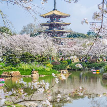 宜昌+交运两坝一峡游船+三峡人家+武汉+黄鹤楼4日3晚跟团游