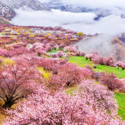 西藏林芝5日4晚私家团