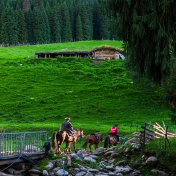 新疆乌鲁木齐+阿勒泰市+喀纳斯景区+禾木风景区+赛里木湖8日7晚私家团