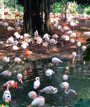 5天4晚 • 廣州長隆野生動物世界-珠海長隆海洋王國雙長隆連遊暢玩，廣州精華景點一次玩遍 盡覽古今風情，輕鬆暢享廣州頂級樂園與風光