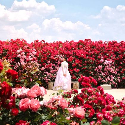 韩国首尔4日3晚跟团游