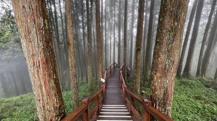 2D1N · Group Tours · Alishan 2Day Shared Tour from Taipei