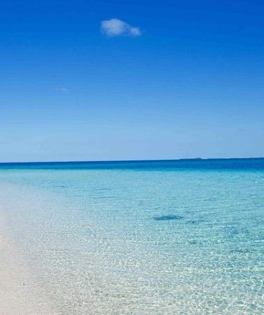 2D1N • Authentic San Blas Experience - 1 or 2 Nights - All included