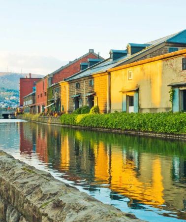 8D7N • Hokkaido Autumn Foliage Discovery: Furano Vineyard Experience + Lake Toya Onsen + Otaru Canal + Sapporo Maple Highlights
