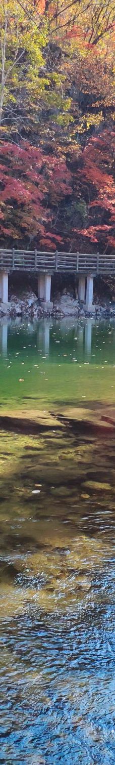 蒲石河森林公园-凤城