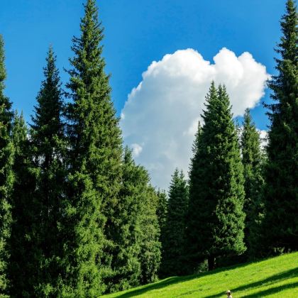 新疆北疆+南疆9日8晚私家团