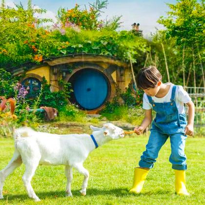 新西兰北岛+特卡波湖+瓦纳卡+皇后镇+库克山9日8晚拼小团