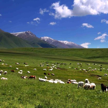 鄂尔多斯草原旅游区+响沙湾+鄂尔多斯2日1晚跟团游