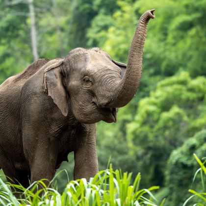 泰国曼谷+芭堤雅8日7晚私家团
