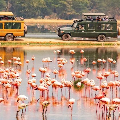 肯尼亚14日12晚私家团