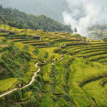 丽水5日4晚私家团