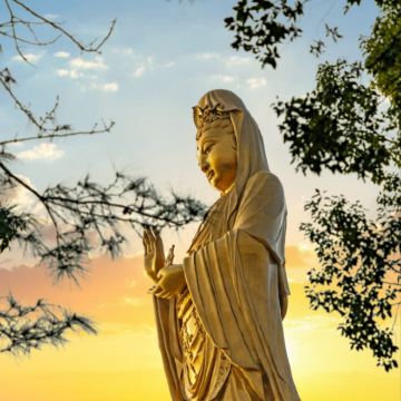 宁波+普陀山风景区3日2晚私家团