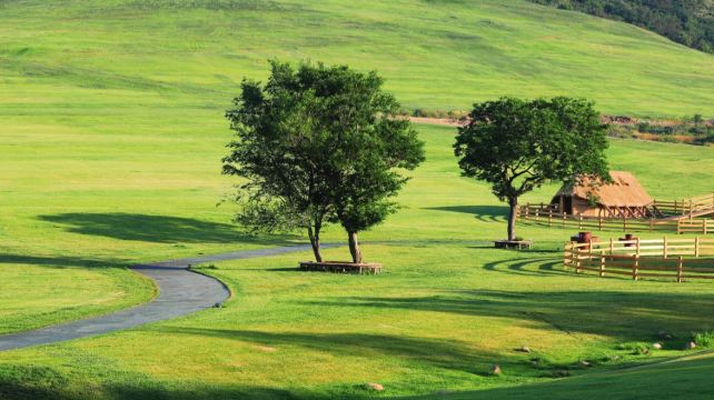 7-Day China Dalian Highlights Private Tour·Dalian Coastal National Geopark, Ten Miles Gold Coast, Lotus Hill Viewing Tower and Donggang Yacht Marina 