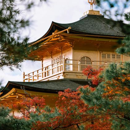 日本大阪+京都4日3晚自由行