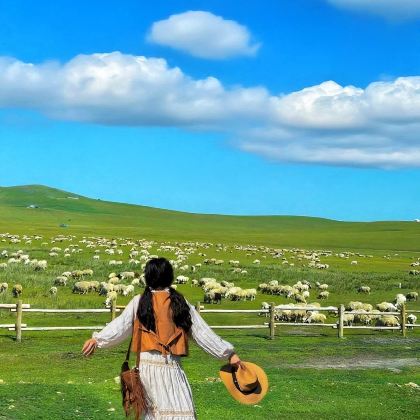 哈尔滨+扎龙生态旅游区+呼伦贝尔大草原+漠河+黑河+五大连池风景区+伊春+北极村10日9晚跟团游