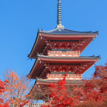 日本大阪+京都+奈良5日4晚跟团游