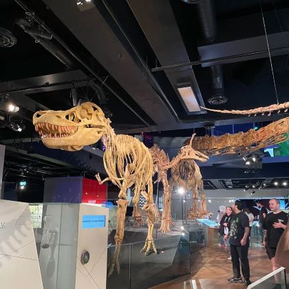 澳大利亚13日11晚私家团