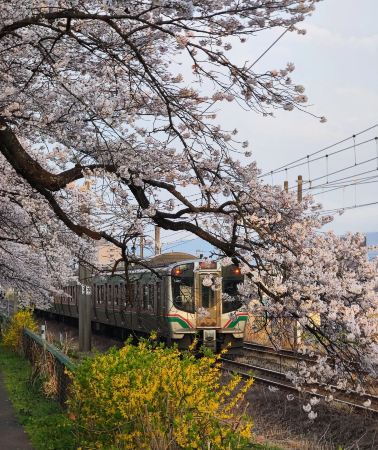 7D6N • Sendai - Miyagi - Yamagata Prefecture -  Iwate Prefecture - Yamagata Prefecture - Miyagi