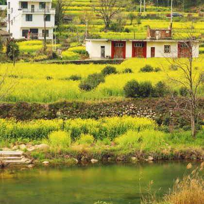 福州三坊七巷+武夷山《印象大红袍》演出+江岭赏油菜花海5日4晚私家团