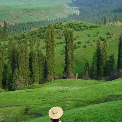 新疆乌鲁木齐+伊犁7日6晚自由行