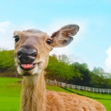 哈尔滨+伊春5日4晚私家团