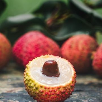 3日2晚 · 旅行團 · 廣東茂名+晏鏡嶺+廣東虎跳峽生態度假區+中國荔枝博覽館+茂名電白區童子灣旅遊景區+中國第一灘旅遊度假區