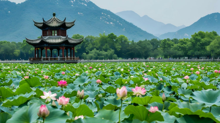 2-Day China + Hangzhou + West Lake + Lingyin Temple + Longjing Village·  