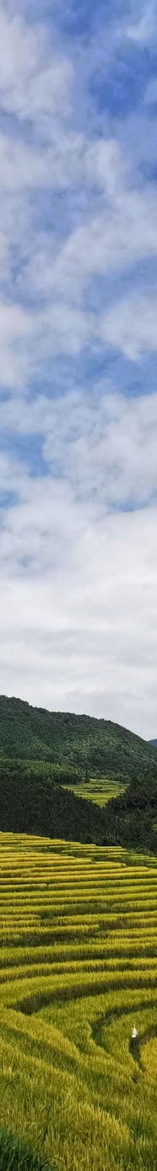 欧家梯田-连山