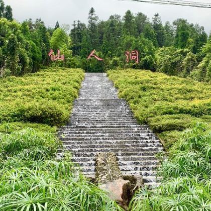 御水古温泉旅游度假区+浪漫海岸国际旅游度假区+高州仙人洞景区2日1晚私家团