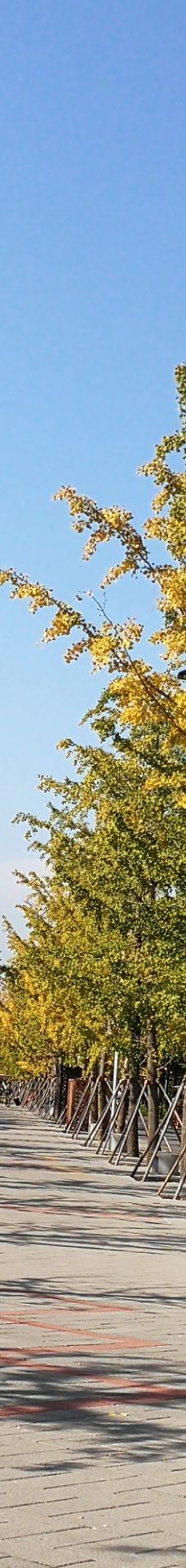 北京园博园-北京