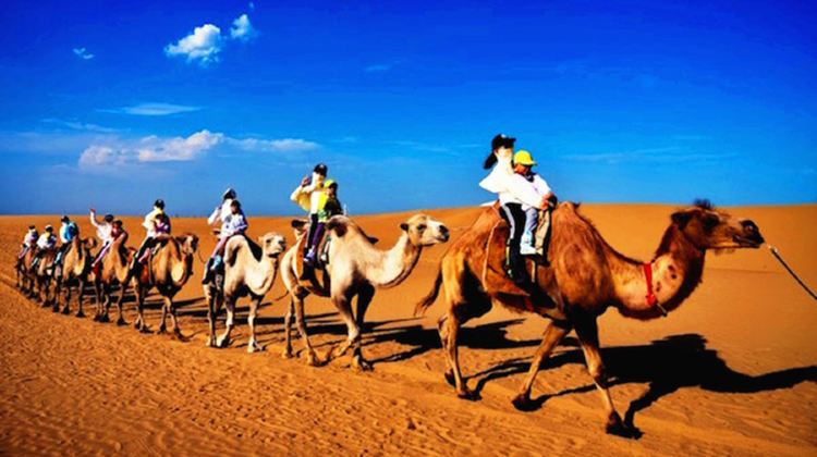 5-Day 5-day 4-night · Private Tour · Inner MongoliaHohhot + Huitengxile Grassland + Whistling Dune Bay