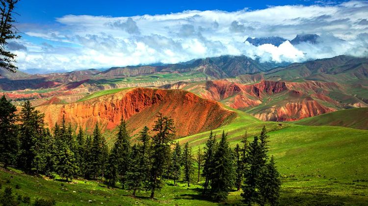 西宁 青海湖 茶卡盐湖 卓尔山 阿咪东索景区 张掖七彩丹霞旅游景区 门源百里油菜花海4日3晚私家团报价3486 人起 22年11月西宁旅游团 西宁 旅游编号 手机版携程旅游