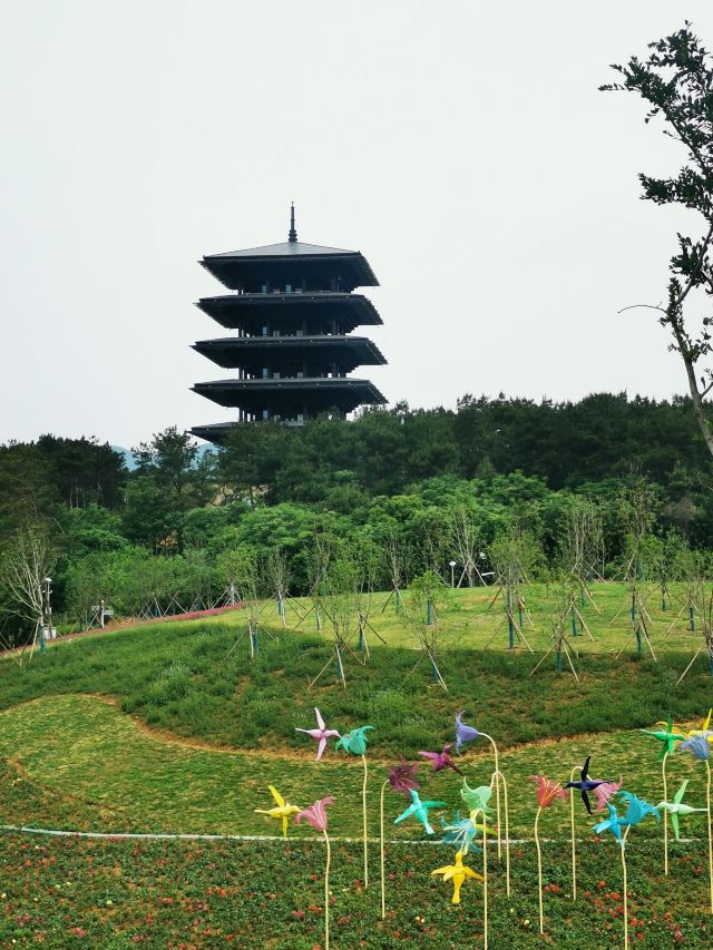 荆门园博园旅行图片 1
