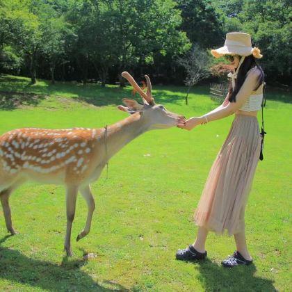 武汉+黄鹤楼+神农架+恩施大峡谷7日6晚私家团