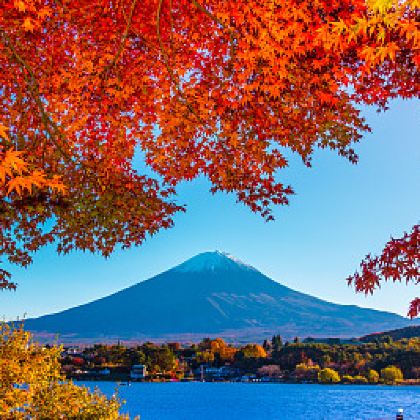 日本北海道+东京12日11晚私家团
