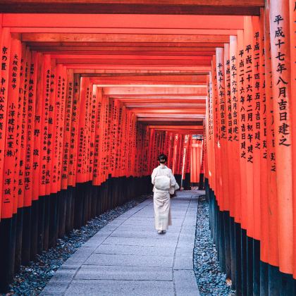 日本东京+富士山+大阪+京都+奈良市8日7晚跟团游