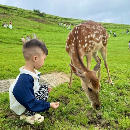 郴州+东江湖旅游区+高椅岭旅游区+仰天湖大草原2日1晚私家团