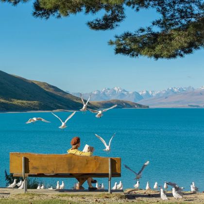 新西兰9日8晚私家团