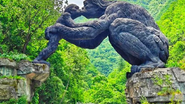 神农架、宜昌+2