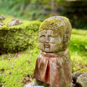 大阪+京都+名古屋+金泽+白川乡+岚山嵯峨野观光小火车+下吕温泉+高山阵屋11日10晚拼小团