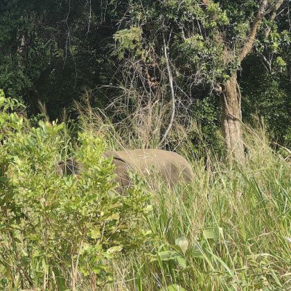 斯里兰卡6日5晚跟团游