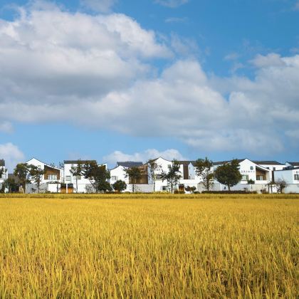 杭州+桐洲岛+诸暨3日2晚私家团