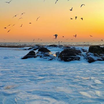 秦皇岛+北戴河+山海关+阿那亚·秦皇岛3日2晚自由行