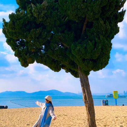 青岛+威海+烟台+蓬莱+大连6日5晚跟团游