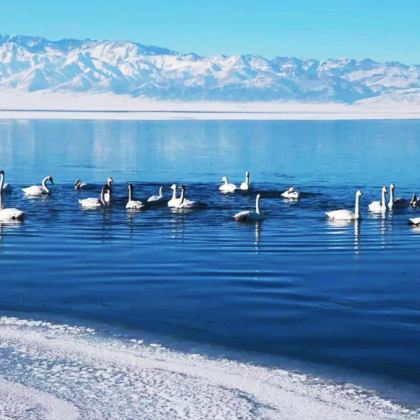 新疆北疆+伊犁+伊宁市+那拉提旅游风景区+赛里木湖4日3晚拼小团