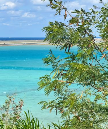 5D4N • Okinawa Naha Explorer: Cape Manzamo, Churaumi Aquarium & Island Highlights
